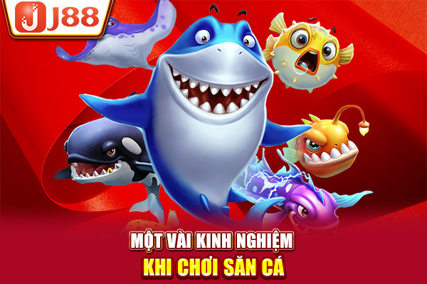 Một vài kinh nghiệm khi chơi săn cá Một vài kinh nghiệm khi chơi săn cá