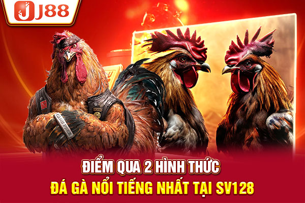 Điểm qua 2 hình thức nổi tiếng nhất tại đá gà SV128 Điểm qua 2 hình thức nổi tiếng nhất tại đá gà SV128