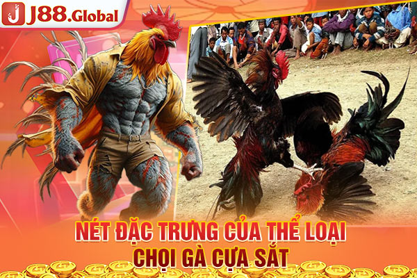 Nét đặc trưng của thể loại chọi gà cựa sắt Nét đặc trưng của thể loại chọi gà cựa sắt